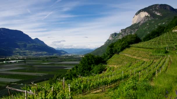 Trentino. — Vídeo de Stock