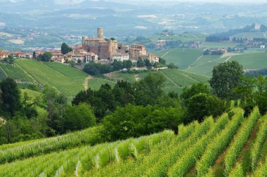 Castiglione Falletto 