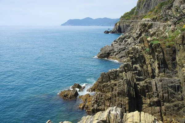 Cinque terre riomaggiore ακτή — Φωτογραφία Αρχείου