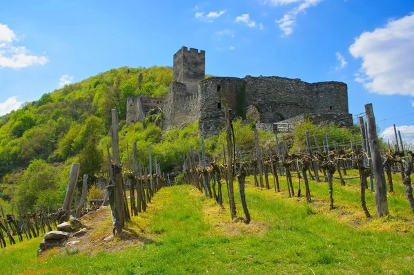 Spitz castle ruin Hinterhaus — Stock Photo, Image