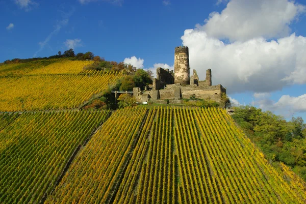 Fustenberg — Foto de Stock