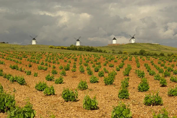 Alcazar-Windmühle — Stockfoto