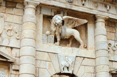 Zadar aslan 