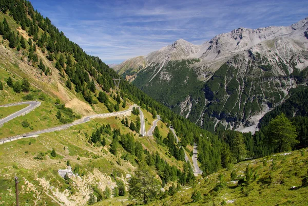 Przełęcz Stelvio — Zdjęcie stockowe
