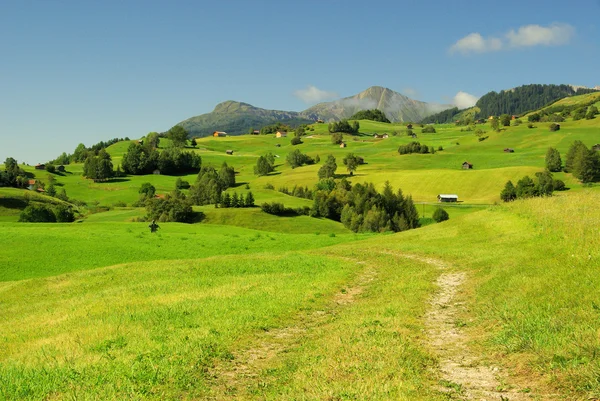 Fiss alp betesmark — Stockfoto