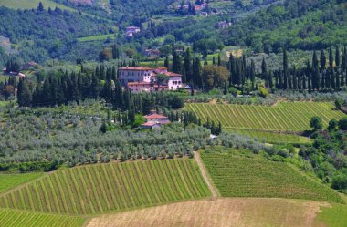 Toskana kırsal bağ