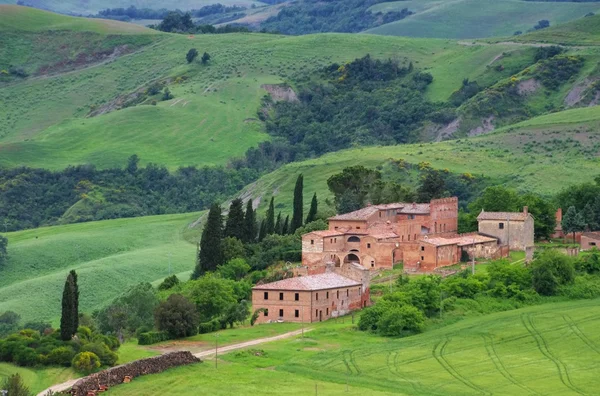 Cypress gränd leder till gården i Toscana — Stockfoto