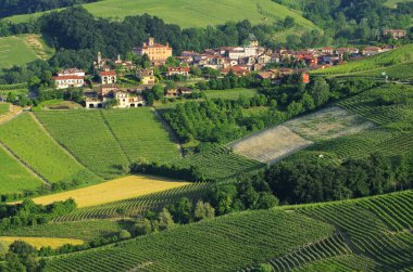 Barolo 