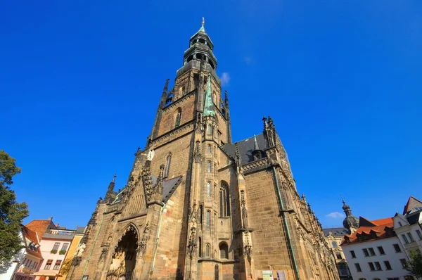 Zwickau kathedraal — Stockfoto