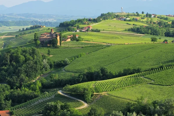 Barolo Castello di La Volta — Fotografia de Stock