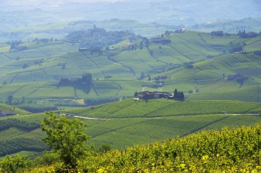 Langhe vineards ve köyleri 