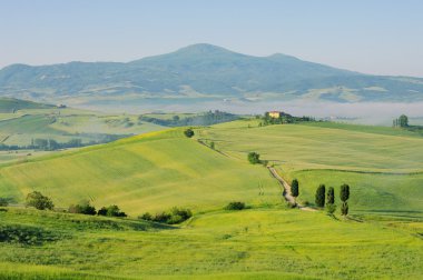 Podere Terrapille İtalya'da