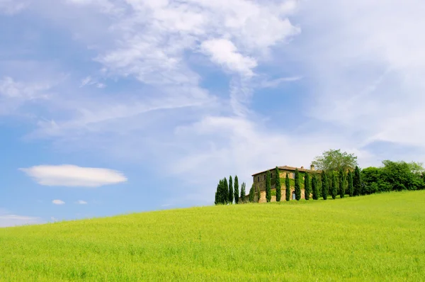 Typical landscape of Tuscany — Stock Photo, Image