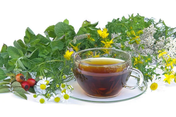 Cup of herbal tea — Stock Photo, Image