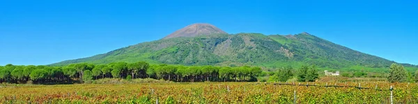 Famoso monte Vesubio —  Fotos de Stock