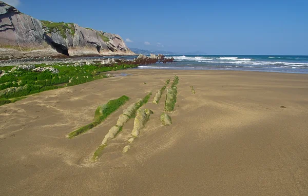 Costa Vasca shore — Stockfoto