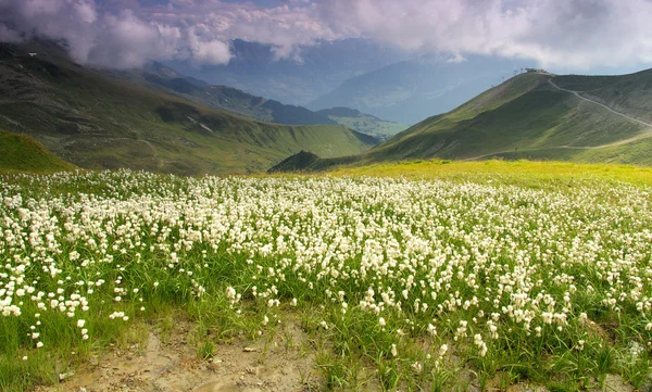 Randonnée en montagne Furgler — Photo