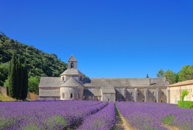 Sénanque Cistercian abbey
