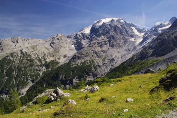 Ortler Alps mountain range — Stock Photo, Image