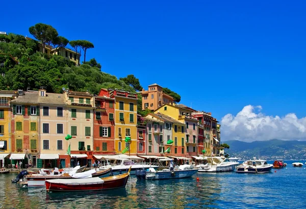 Colorful Portofino houses — Stock Photo, Image