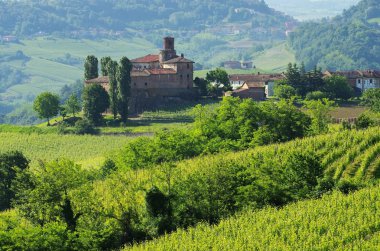 Barolo Castello di La Volta 