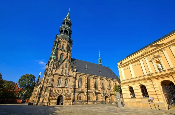 Stara katedra Zwickau — Zdjęcie stockowe