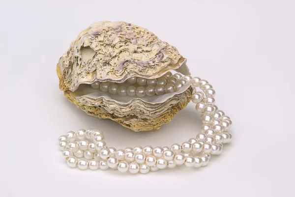 Oyster with pearl necklet — Stock Photo, Image