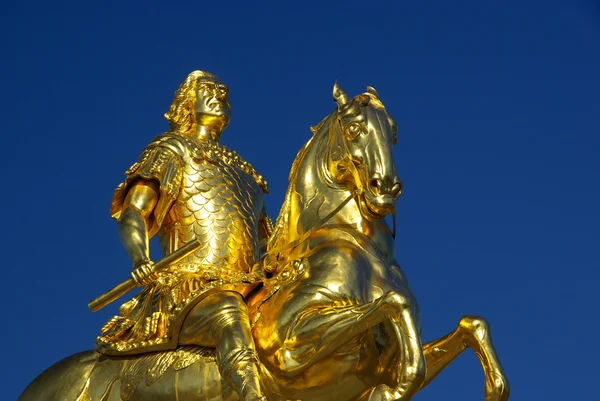 Dresde Caballero Dorado — Foto de Stock