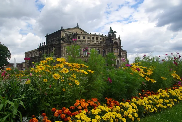 Drezdai Semperoper, a virág ágy — Stock Fotó