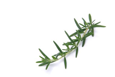 Taze yeşil biberiye