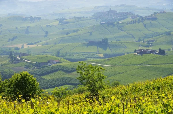 Langhe vineards en dorpen — Stockfoto