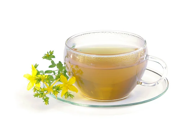 Té Hierba de San Juan — Foto de Stock