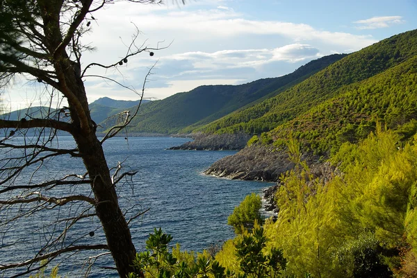 Scenic Mljet kyst - Stock-foto