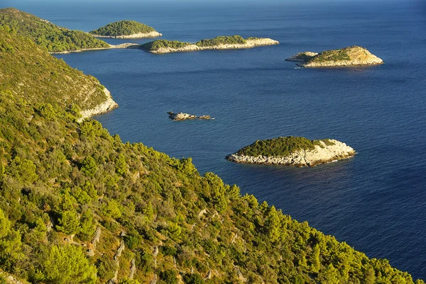 Costa panorámica de Mljet — Foto de Stock