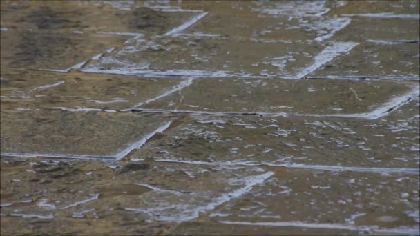 雨滴落到鹅卵石 — 图库视频影像