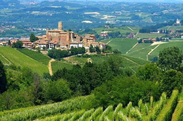 Vista de Castiglione Falletto — Fotografia de Stock