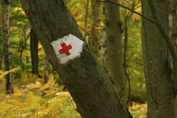 Wanderzeichen Rotes Kreuz — Stockfoto