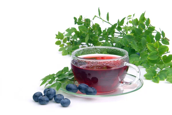 Tasty blueberry tea — Stock Photo, Image
