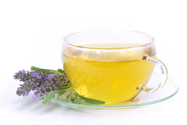 Tasty lavender tea — Stock Photo, Image