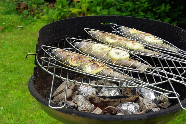 Grilling trout for dinner — Stock Photo, Image