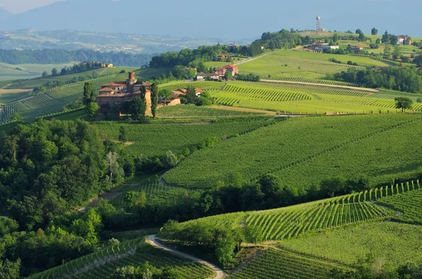 Barolo Castello di La Volta — Zdjęcie stockowe