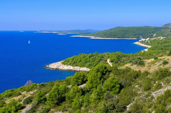 Carretera costera Hvar — Foto de Stock