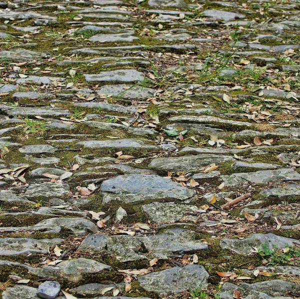 Pavimento, estrada velha — Fotografia de Stock