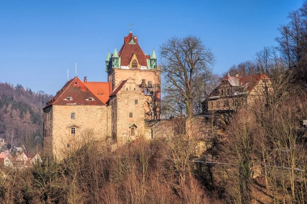 Kuckuckstein slott, Liebstadt — Stockfoto