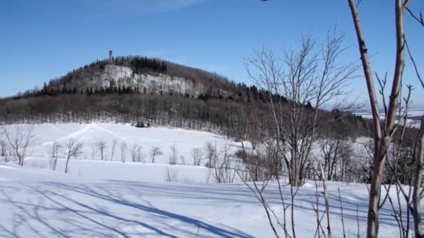 Geisingberg de montagne en hiver — Video