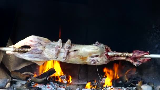 羊肉の串焼き — ストック動画