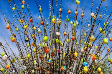 Easter shrub willow clipart
