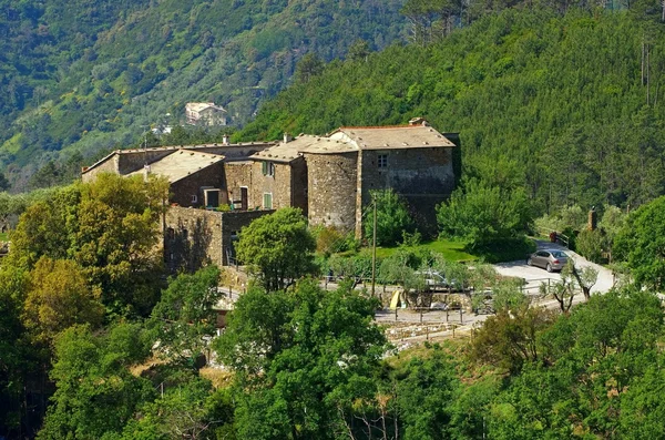 Maison Cinque Terre — Photo