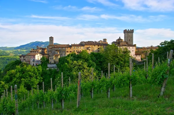 Vigoleno Weinberge und Stadt — Stockfoto