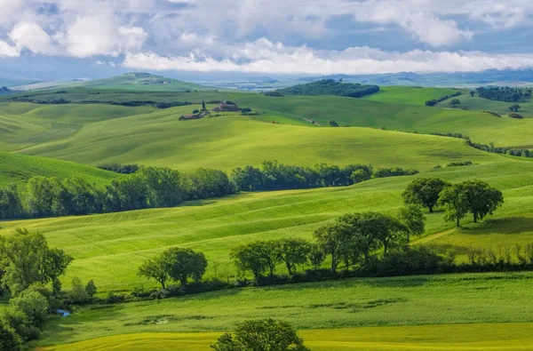 Toscana hills — Stockfoto